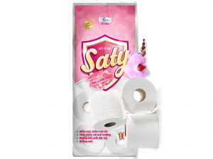 Giấy SATY Hồng 10 cuộn